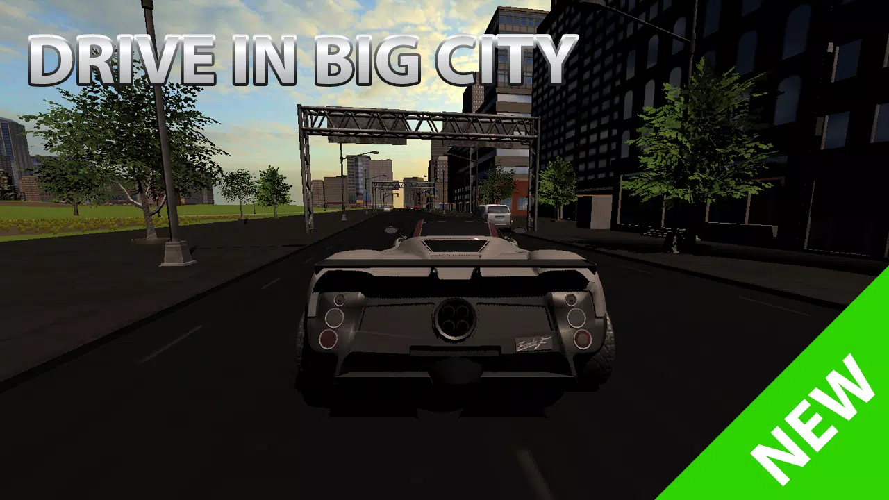 Car Simulator 3 Screenshots