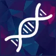 Evivve : Game-Based Learning Evivve : Game-Based Learning
