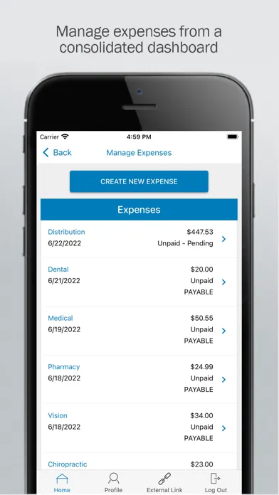 Tangkapan layar CPA Flex Mobile