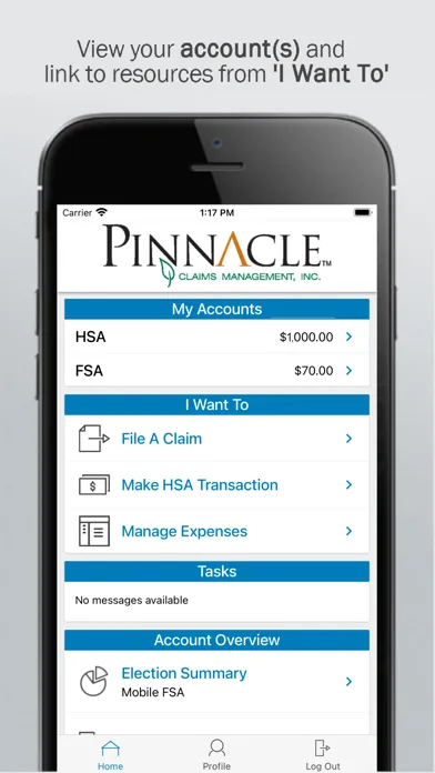 Capturas de tela do PCMI HSA/FSA/HRA Savings Acct.