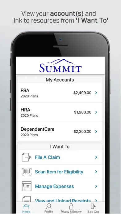 Скриншоты Summit Admin FSA