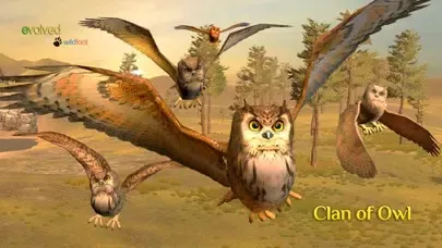 Скриншоты Clan Of Owl