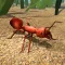 Fire Ant Simulator