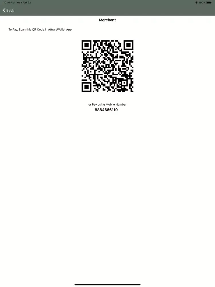 eWallet Merchant iPad 應用截圖