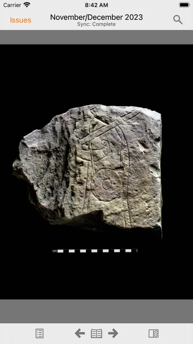Zrzuty ekranu British Archaeology