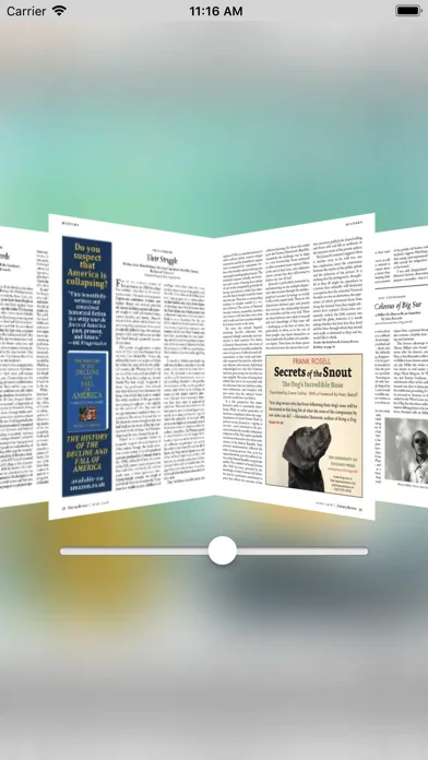 صور Literary Review