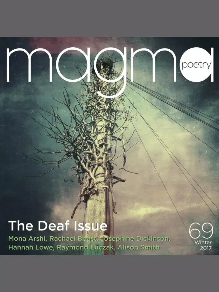 Magma Poetry iPad  স্ক্রিনশট