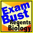 NY Regents Biology Prep Flashcards Exambusters