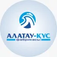 Alatau kys