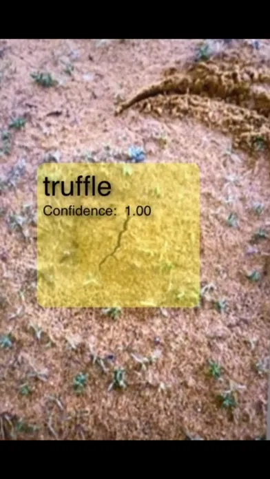 Скриншоты فقع Truffle