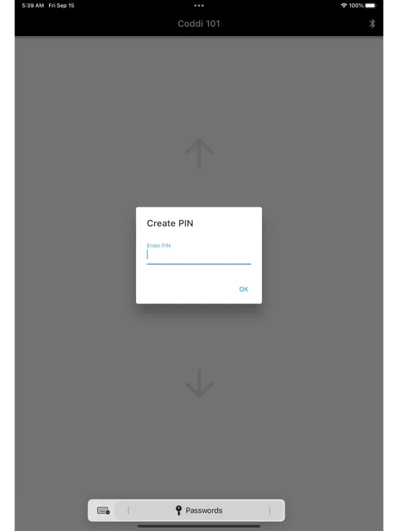 Coddi 101 by SkillAbove iPad スクリーンショット