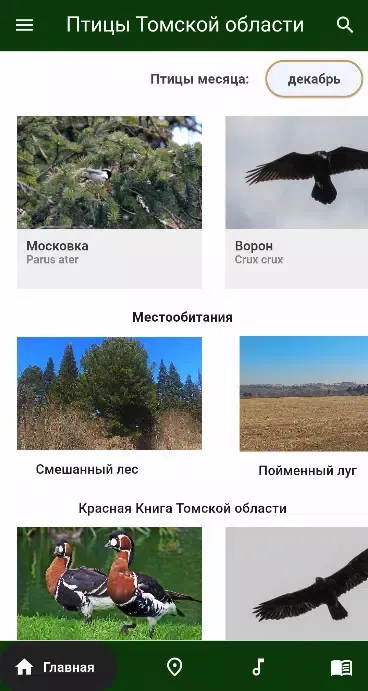 Birds of Siberia スクリーンショット