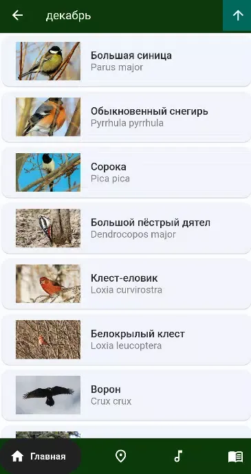 Birds of Siberia スクリーンショット