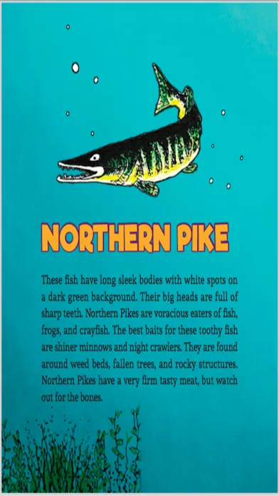 How To Fish AR 스크린샷