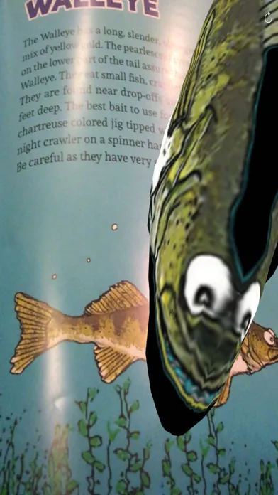 How To Fish AR 스크린샷