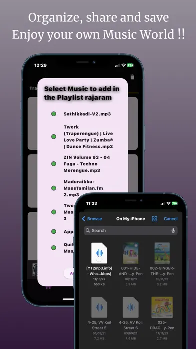 Offline Music Player: papa应用截图