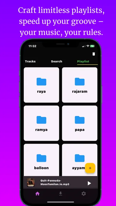 Offline Music Player: papa应用截图