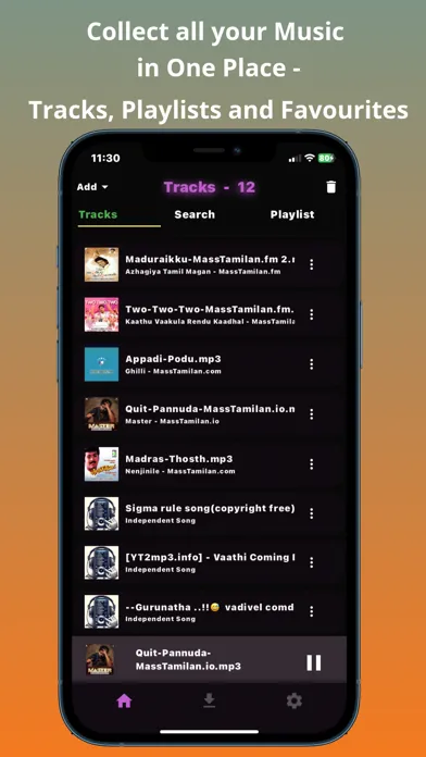Offline Music Player: papa应用截图