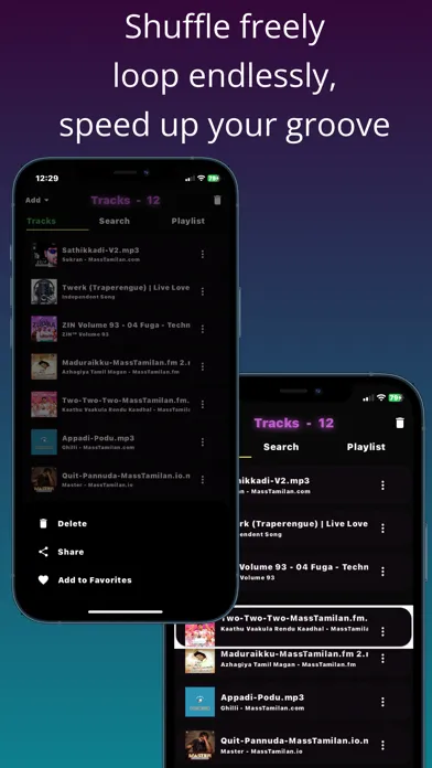 Offline Music Player: papa应用截图