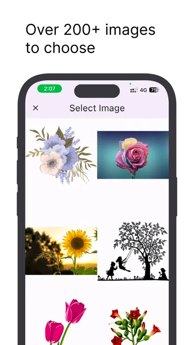 تصاویر Photo Carbon Copy