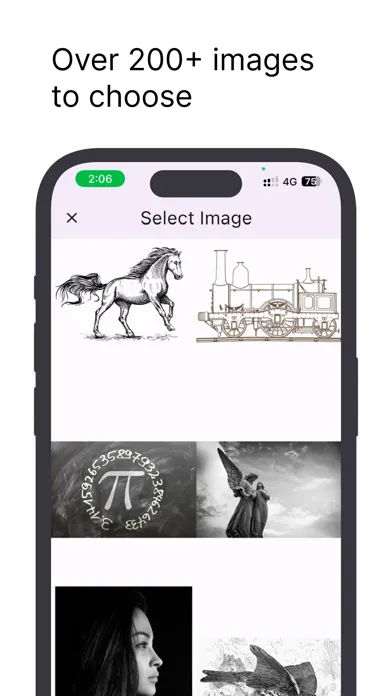 تصاویر Photo Carbon Copy