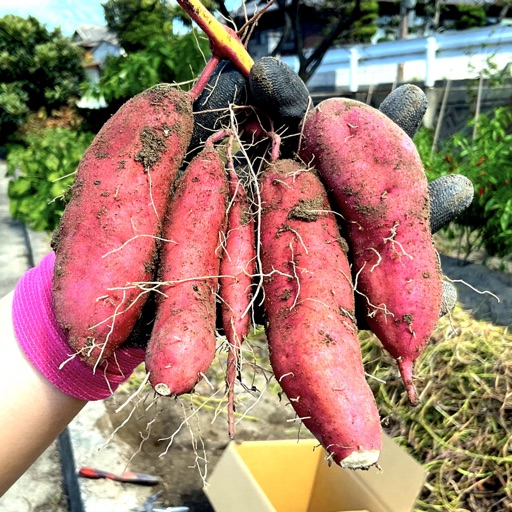 Farm Reco ファームレコ -家庭菜園・畑の記録-