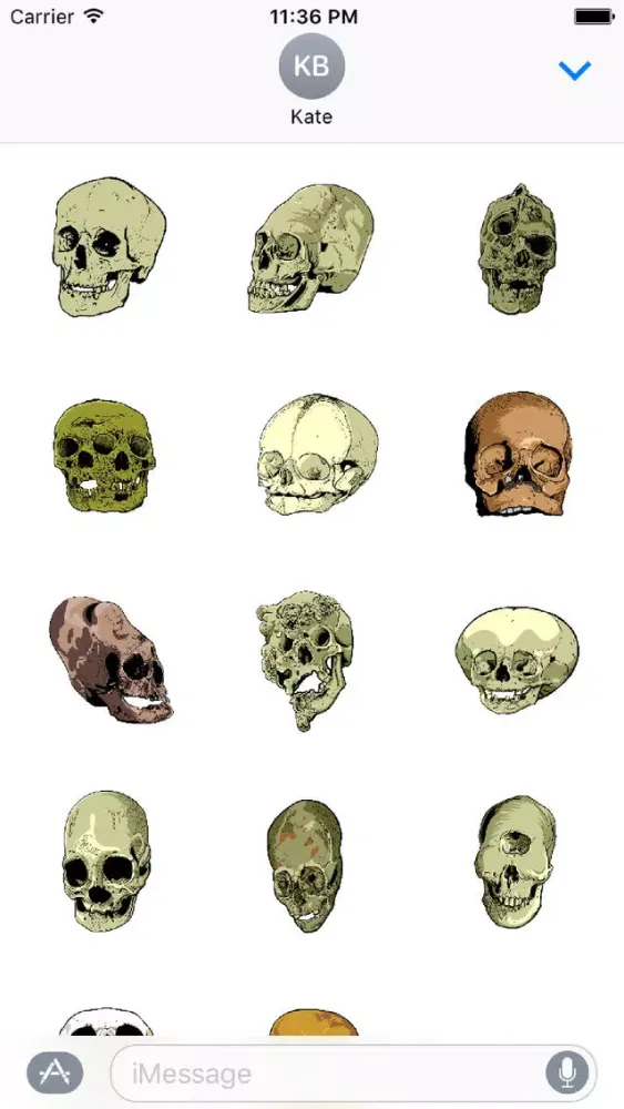 ภาพหน้าจอของ Skull Art Sticker Pack