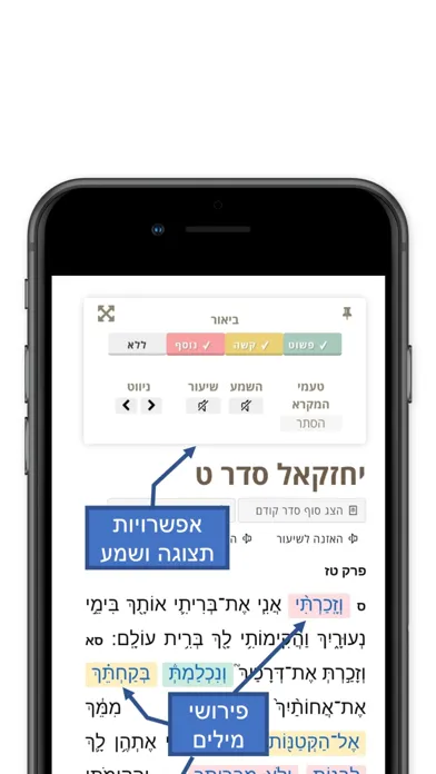 Tanach Yomi應用截圖