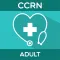 CCRN Adult Exam Prep Test 2024