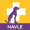 NAVLE Vet Exam Prep Study 2024