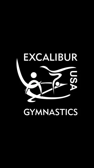 Screenshot di Excalibur Gymnastics