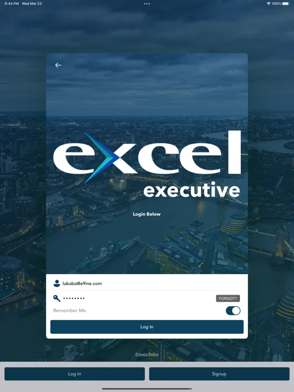 Screenshot di Excel Exec iPad 