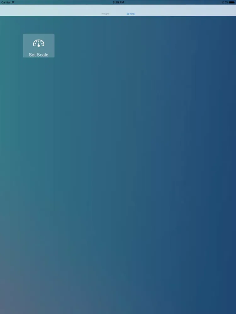 ScaleConfig iPad 应用截图