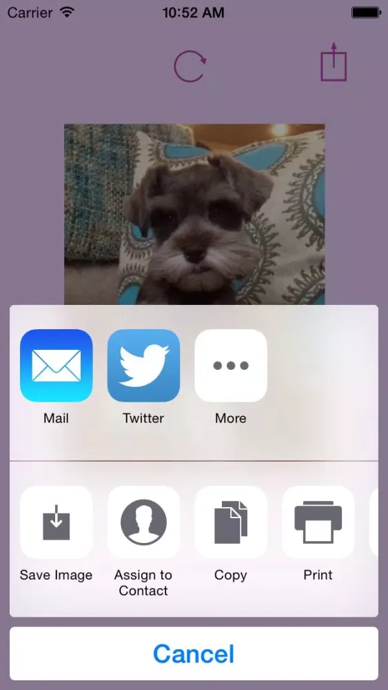 Awwnimals Ekran Görüntüleri