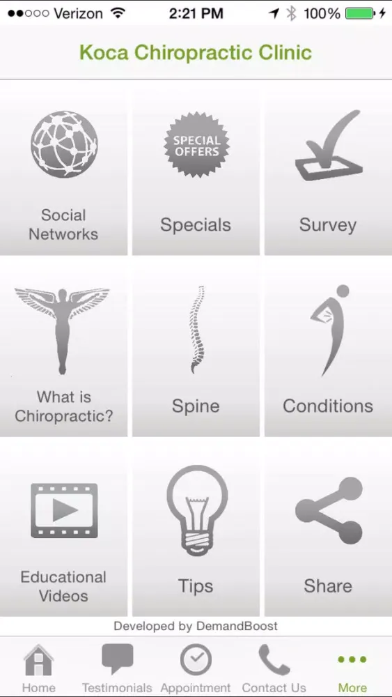 Скриншоты Koca Chiropractic Clinic
