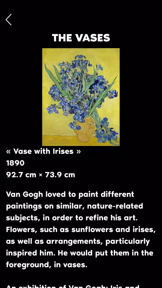 Скриншоты Van Gogh Experience - Antwerp
