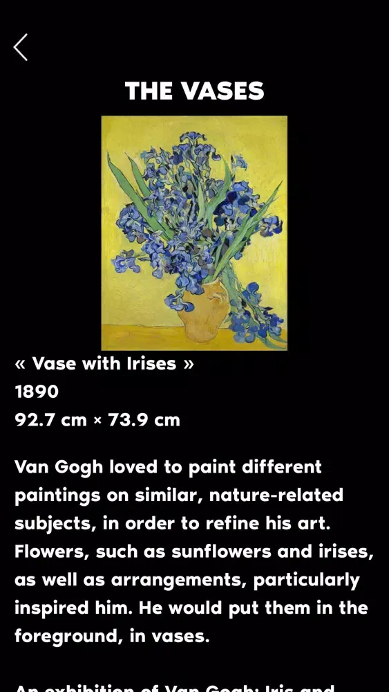 Van Gogh Experience - Antwerp স্ক্রিনশট