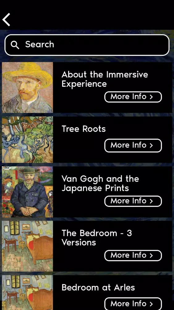 Capturas de pantalla de Van Gogh Immersive DC