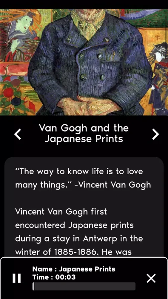 Capturas de pantalla de Van Gogh Immersive DC