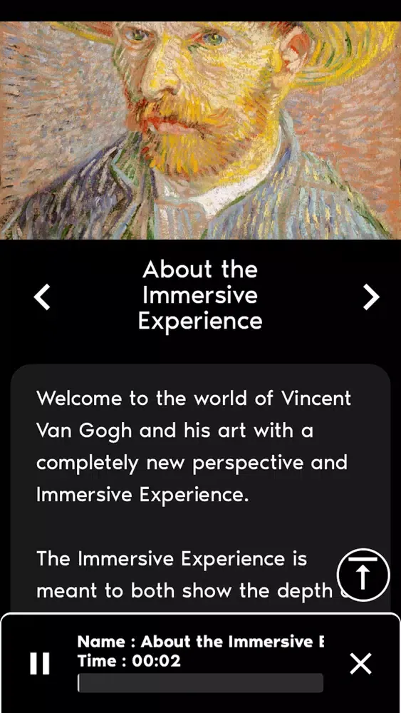 Capturas de tela do Van Gogh Immersive Houston