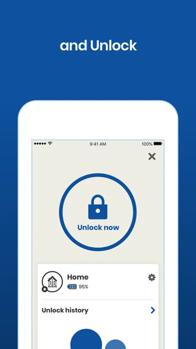 Zrzuty ekranu Janus Lock