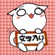 UMAcatty UMAcatty