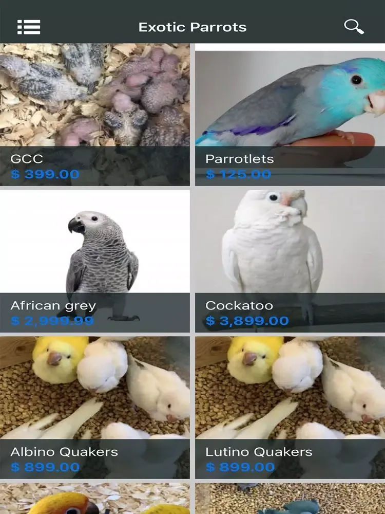 Capturas de tela do Exotic Parrots iPad 