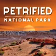 Petrified Forest NP Audio Tour Petrified Forest NP Audio Tour