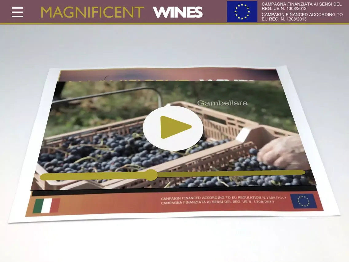 MW - MAGNIFICENT WINES iPad 应用截图