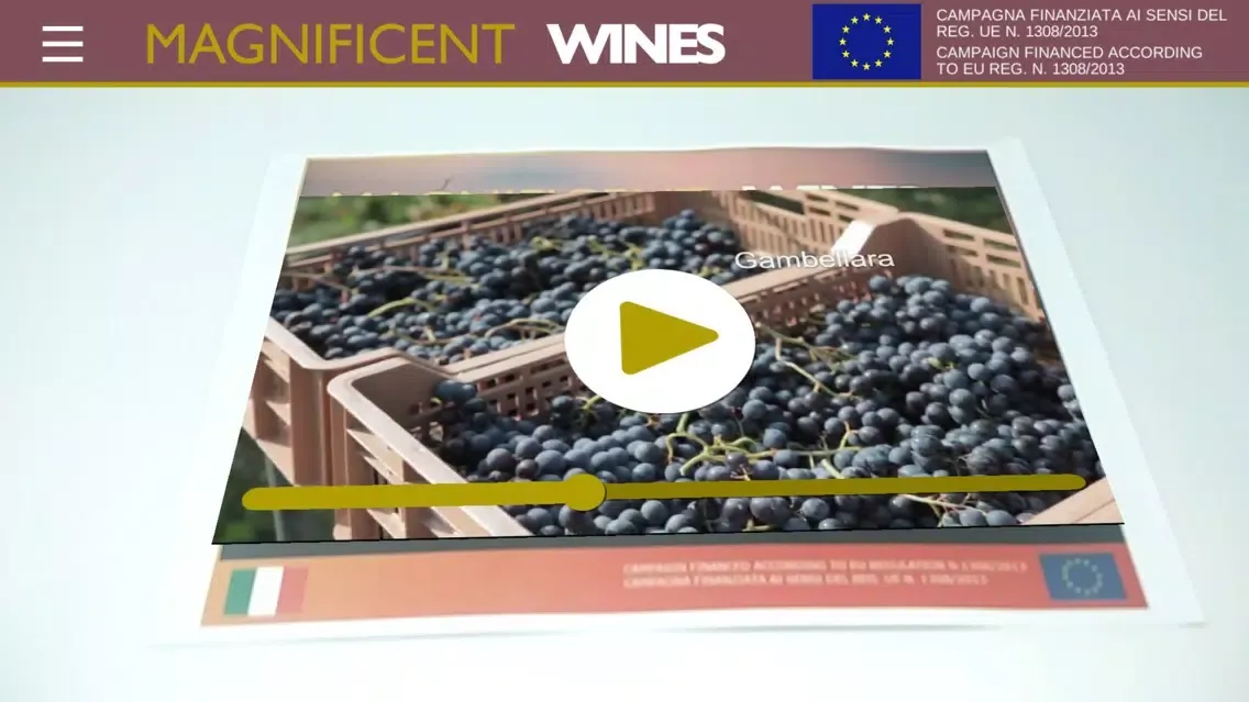 MW - MAGNIFICENT WINES应用截图