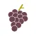 VIGNAIOLI VENETI