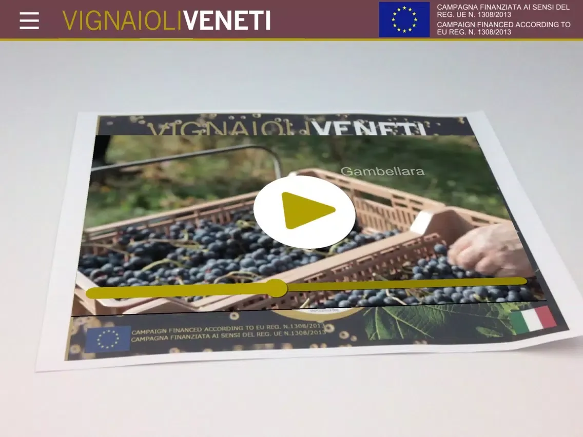 VIGNAIOLI VENETI iPad  سکرین شاٹس
