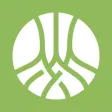 Experience Rooted