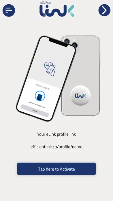 efficient Link Screenshots